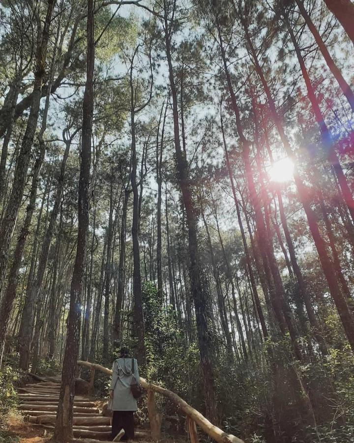 Seribu Batu Songgo Langit Resort & Camp Bantul Zewnętrze zdjęcie